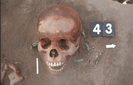 Click to zoom the picture.